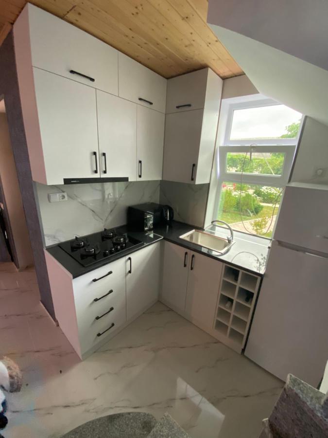 Buo'S Guest House Borzsomi Kültér fotó